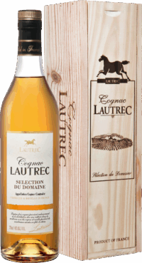 Лотрек Селексьон дю Домен в п/у (Lautrec Selection du Domaine in g/b) Лотрек Селексьон дю Домен в п/у (Lautrec Selection du Domaine in g/b)