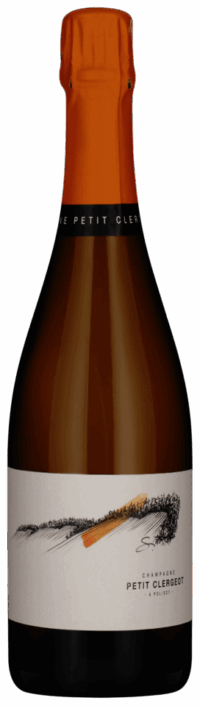 Пти Клержо Шеври Пино Нуар Стальной Чан 2021 (Petit Clergeot Chevry Pinot Noir Cuvée Cuve 2021)