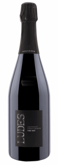 Артюр Лельевр Люд Пино Нуар Экстра Брют 2021 (Arthur Lelièvre Ludes Pinot Noir Extra Brut 2021) Артюр Лельевр Люд Пино Нуар Экстра Брют 2021 (Arthur Lelièvre Ludes Pinot Noir Extra Brut 2021)