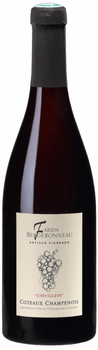 Фабьен Бержероно Швийви Кото Шампенуа Руж 2020 (Fabien Bergeronneau Chevillevy Coteaux Champenois Rouge 2020)