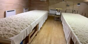 КОЧИ! ОКЬЯКУ! КАМПАЙ!