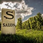 ГОСПОДИНУ САЛОНУ, ШАМПАНСКОМУ И ЧЕЛОВЕКУ ГОСПОДИНУ САЛОНУ, ШАМПАНСКОМУ И ЧЕЛОВЕКУ