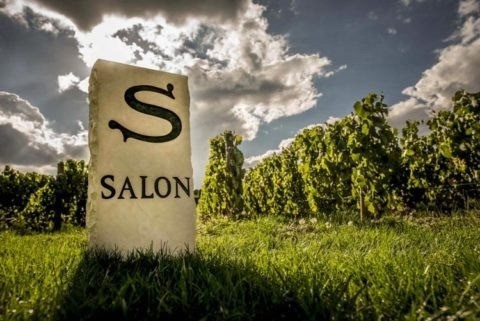 ГОСПОДИНУ САЛОНУ, ШАМПАНСКОМУ И ЧЕЛОВЕКУ ГОСПОДИНУ САЛОНУ, ШАМПАНСКОМУ И ЧЕЛОВЕКУ