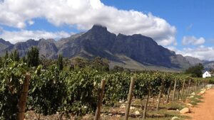 КОРТЕС ТАКОГО НЕ ВИДАЛ