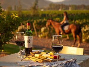 КОРТЕС ТАКОГО НЕ ВИДАЛ