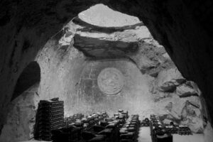 БРЮТАЛЬНЫЙ TAITTINGER