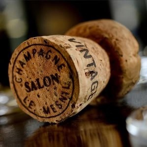 ГОСПОДИНУ САЛОНУ, ШАМПАНСКОМУ И ЧЕЛОВЕКУ