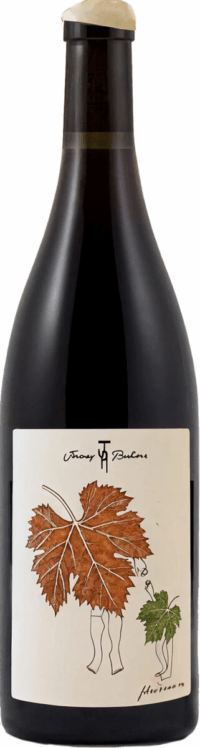 Джереми Реккьоне Кото Бургиньон 2022 (Jeremy Recchione Coteaux Bourguignon 2022)