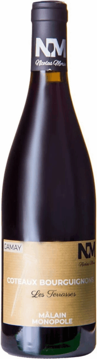 Мэзон Николя Моран Кото Бургиньон Гамэ Ле Террас 2022 (Maison Nicolas Morin Coteaux Bourguignons Gamay Les Terrasses 2022)