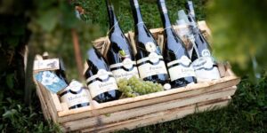 СЕКРЕТ СЛОВАЦКОГО ТОКАЙСКОГО