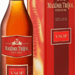 Максим Трижоль ВС в п/у (Maxime Trijol VS in g/b)