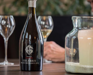 GOSSET: ИСТОРИЯ С ПРОДОЛЖЕНИЕМ