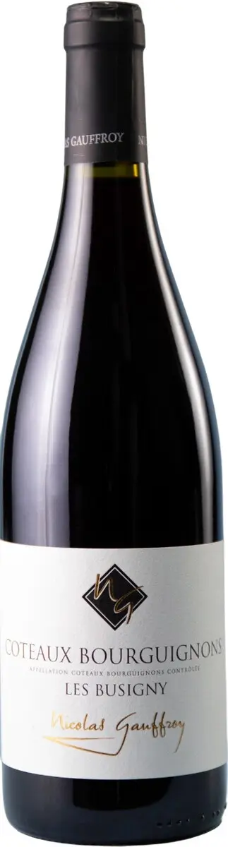 Николя Гоффруа Кото Бургиньон Руж Ле Бюзиньи 2023 (Nicolas Gauffroy Coteaux Bourguignons Rouge Les Busigny 2023) Николя Гоффруа Кото Бургиньон Руж Ле Бюзиньи 2023 (Nicolas Gauffroy Coteaux Bourguignons Rouge Les Busigny 2023)