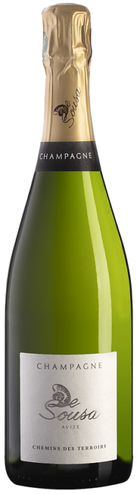 Шампань Де Суза Шеман де Терруар Брют (Champagne De Sousa Chemins des Terroirs Brut) Шампань Де Суза Шеман де Терруар Брют (Champagne De Sousa Chemins des Terroirs Brut)