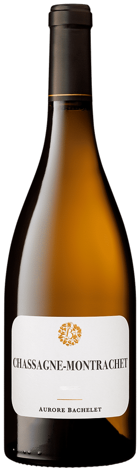 Аврора Башеле Шассань-Монраше 2023 (Aurore Bachelet Chassagne-Montrachet 2023)