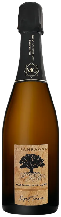 Марто Гийом Эспри Терруар Брют Натюр 2018 (Guillaume Marteaux Esprit Terroirs Brut Nature 2018)