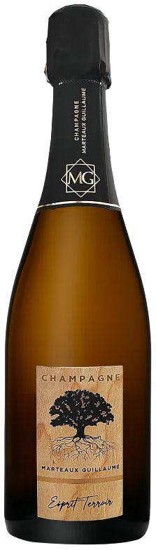 Марто Гийом Эспри Терруар Брют Натюр 2018 (Guillaume Marteaux Esprit Terroirs Brut Nature 2018)